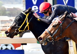 Gin Fizz to sparkle in PE