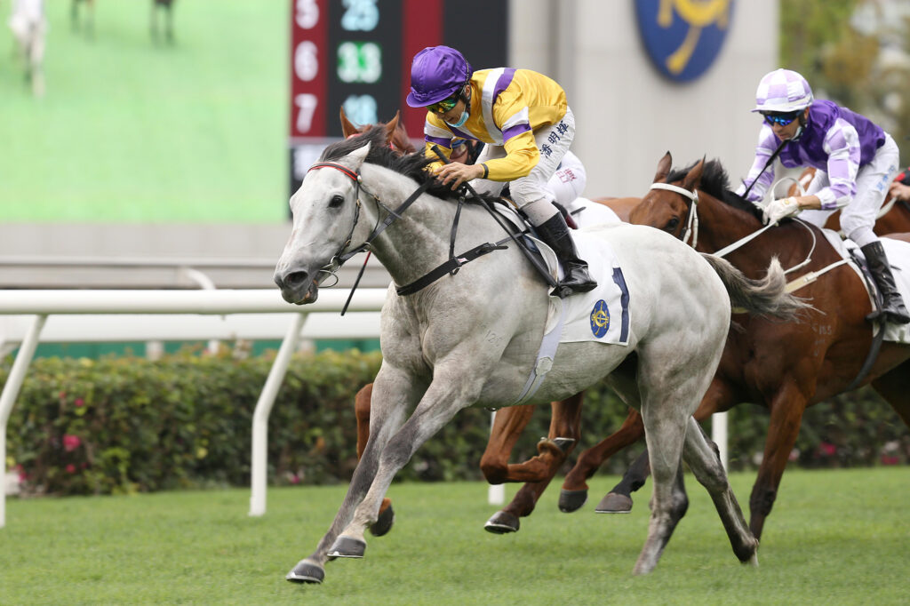 Glorious Dragon’s back for Group 3 January Cup