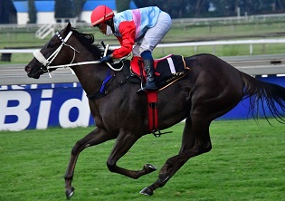 Go with Muzi and Muleta