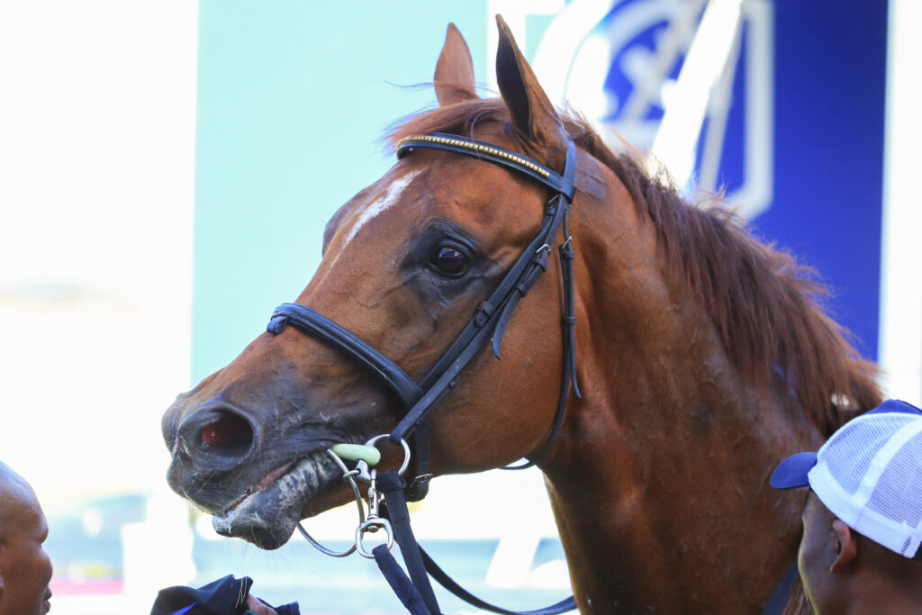 Gold Challenge Entries