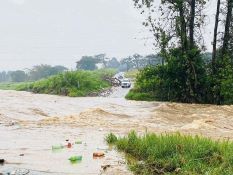 Gold  Circle shuffle race meetings