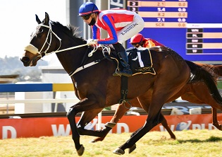 Gold Cup is in his league