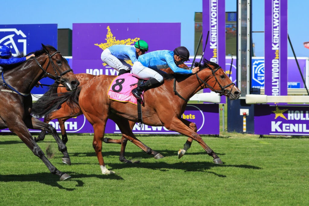 Golden chance for Bass-Robinson