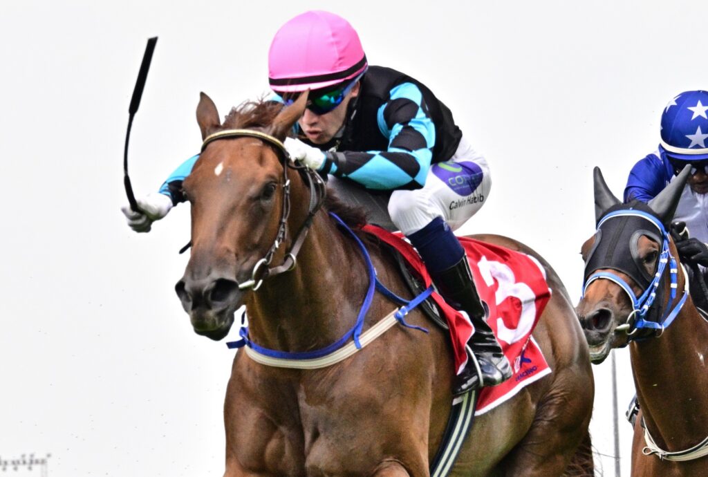 Golden chance for Peter and Habib