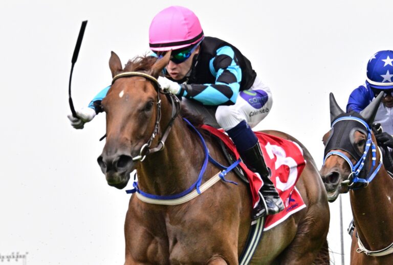 Golden chance for Peter and Habib