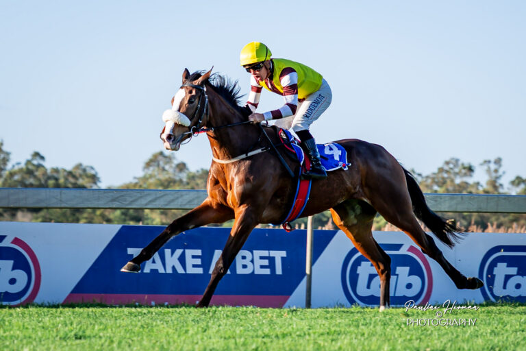 GOLDEN PALM SET TO JOIN THE LIST