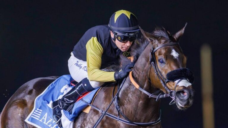 Golden Shaheen champ returns to Meydan