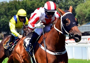 Golden Spoon to benefit from a drop in distance