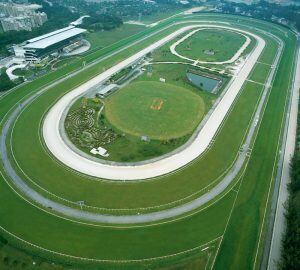 Good Chilli to heat up Selangor racing