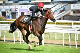 Good Queen Bess to reign supreme