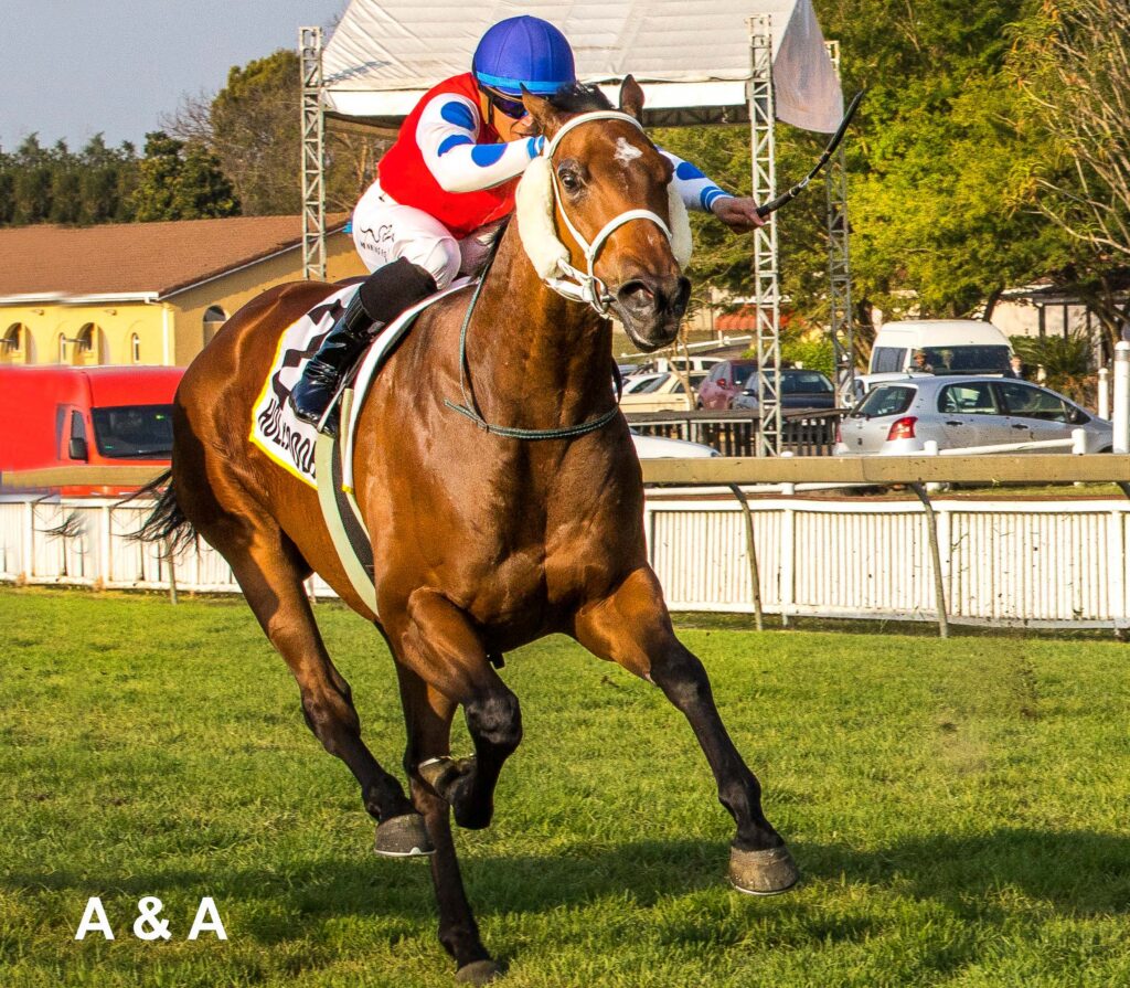 Good rides for Fourie in KZN