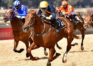 Grade 1 form at Turffontein