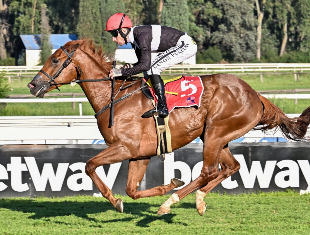 Grand Empire stands out at Turffontein