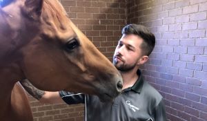 Grand runs forecast for Crawford duo