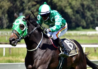 Gray is not looking back