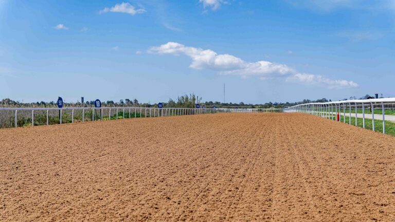 GREEFF CAN FOLLOW UP