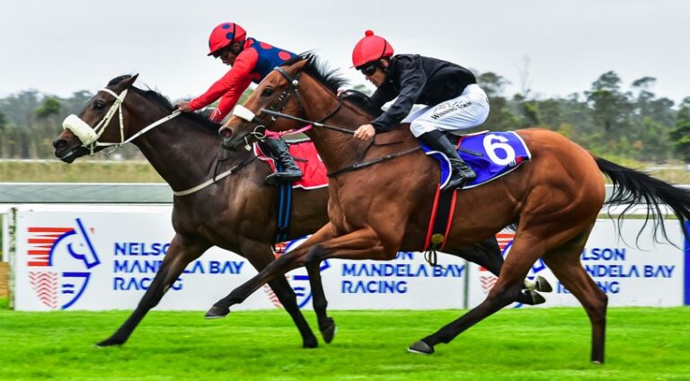 Greeff runners to shine on the Polytrack