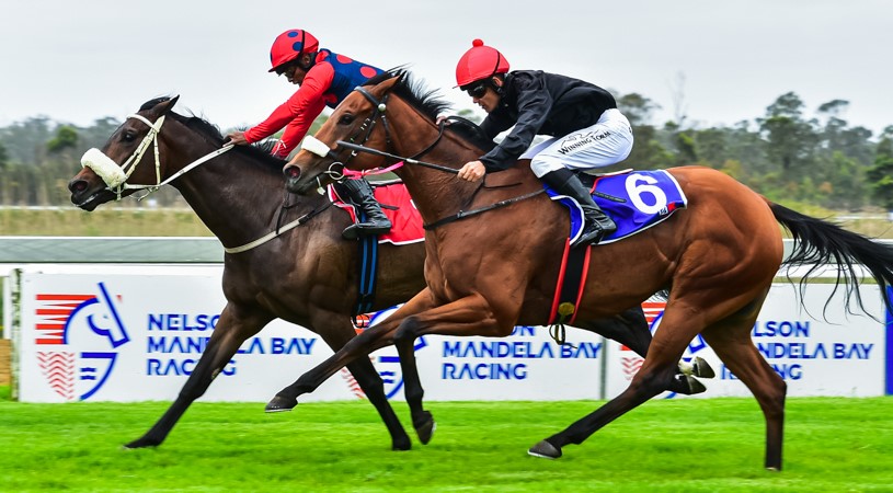 Greeff runners to shine on the Polytrack