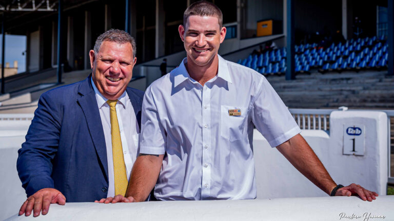 GREEFF SADDLES FAVOURITE