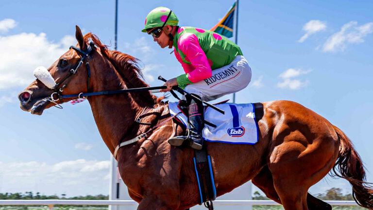 Greeff to take his best shot at Algoa Cup