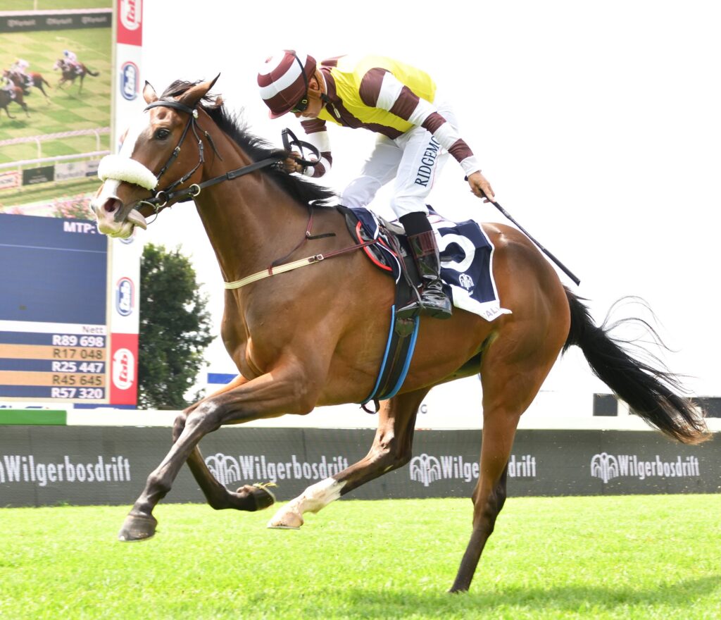 Greeff’S Midas touch to continue with Golden Palm