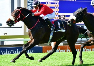 Greenlight now rated 128