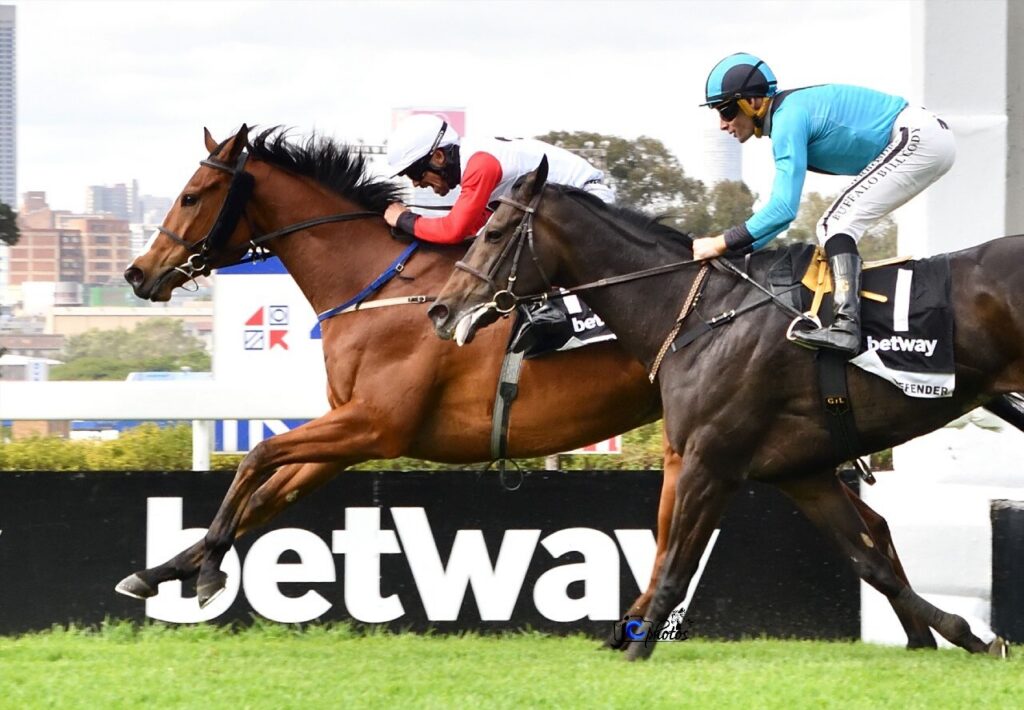 Greeting My Master Wins Betway Victory Moon Stakes In A Thriller