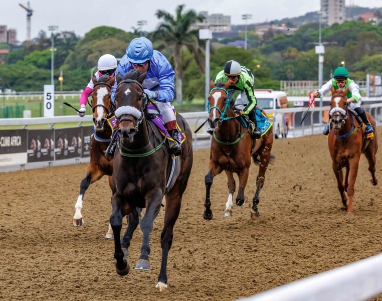 Greyville Poly seems the perfect ‘place’ for punters