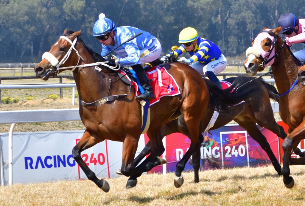 Guineas champions chase Classic success