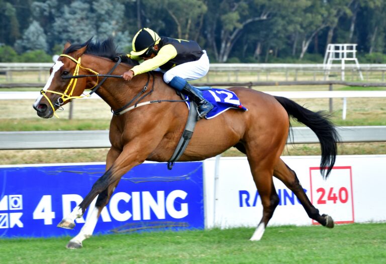 Guineas form under scrutiny at the Vaal