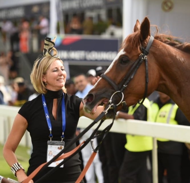 Guineas pointers at Durbanville