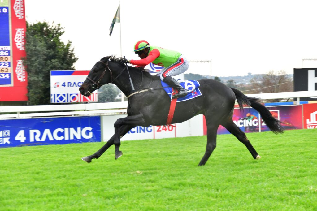 Guineas summit for Sandringham