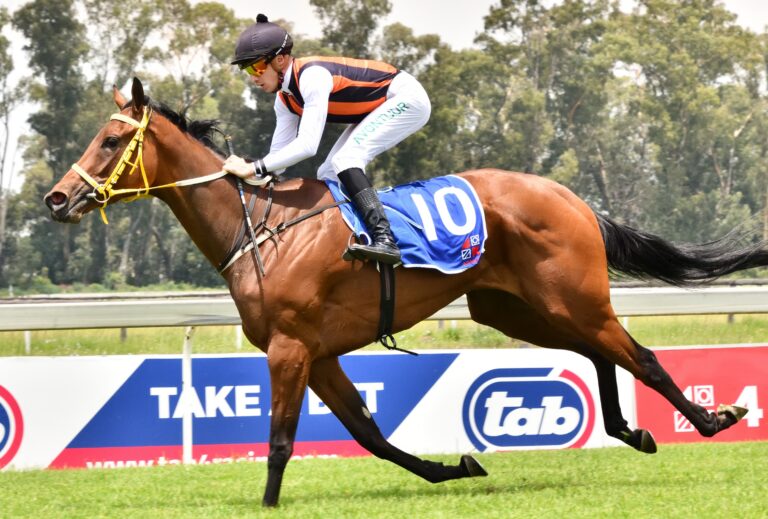 Habib, Tarry together again at Turffontein