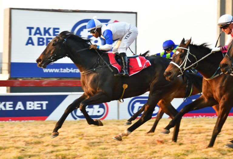 Handicapping ratings update