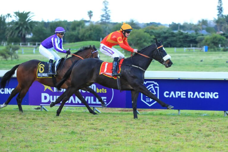 Handicapping ratings update