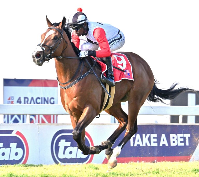 Handicapping ratings update