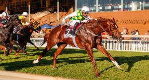 Handicapping ratings update