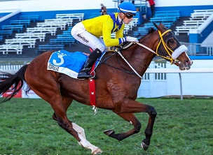 Handicapping Ratings Update