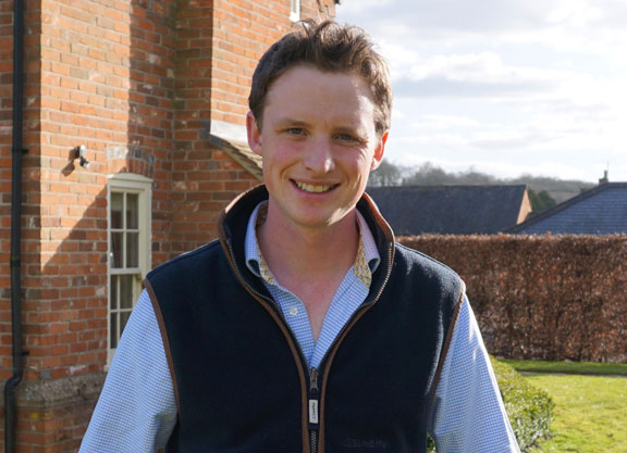 Harry looks a diligent bet at Newcastle