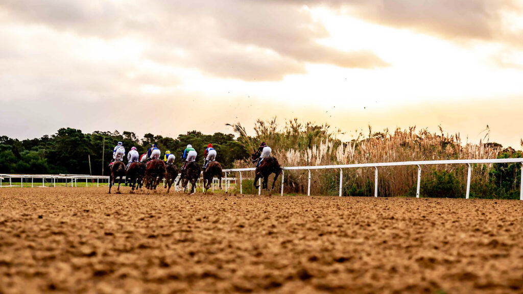 HAVE A BEER WITH THE BOYS