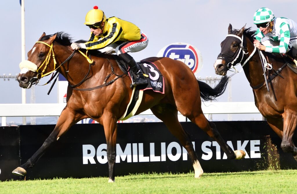 Heather’s Boy prepares for Cape jaunt