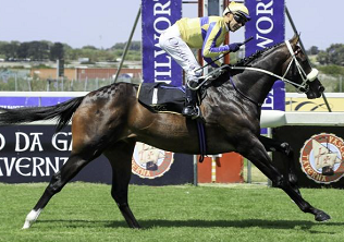 Hello Bella, what the Dickens?