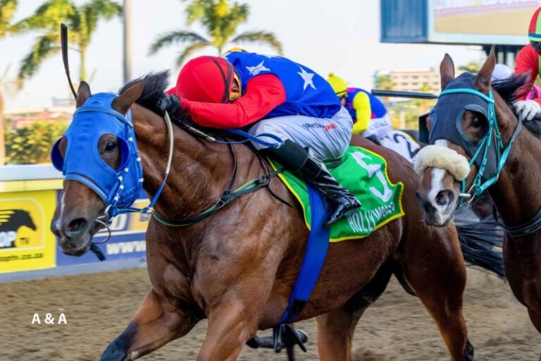 Hereinafter living her best year