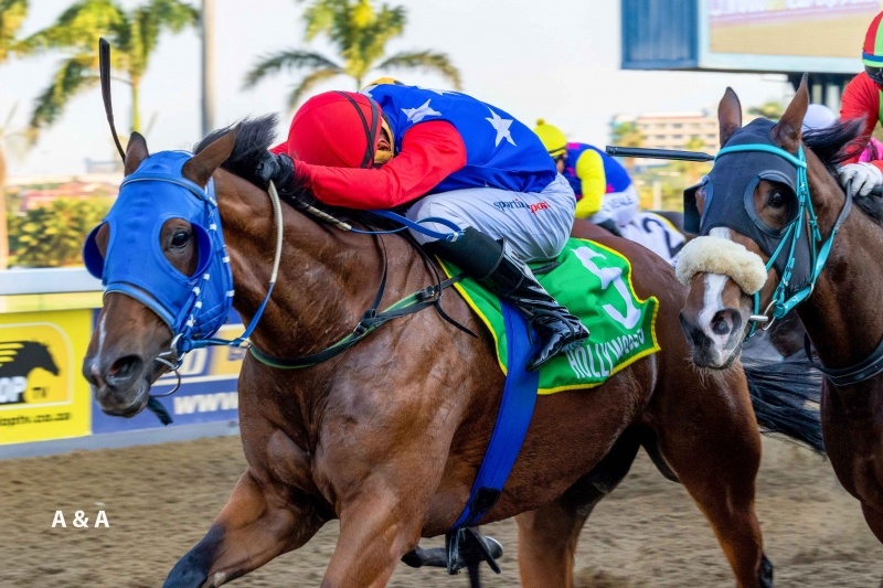 Hereinafter living her best year