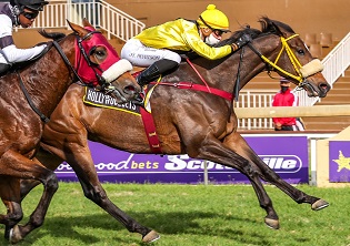 Hewitson to give punters the ‘cold’ shoulder