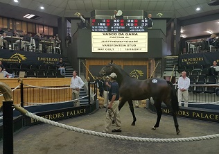 HKJC buy two colts at NYS