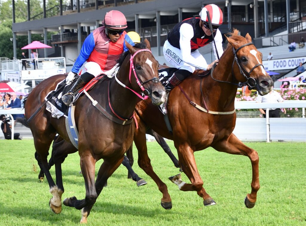 HKJC World Pool Ignites Champions Day with Thrilling Turffontein Action!