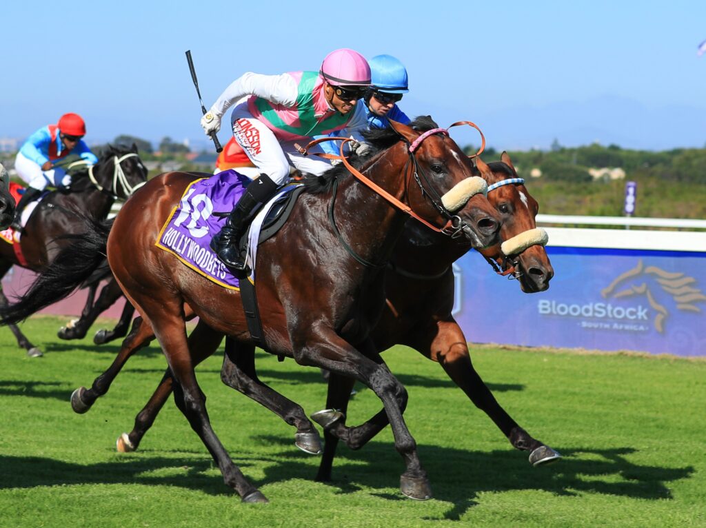 Hluhluwe set to claim Guineas