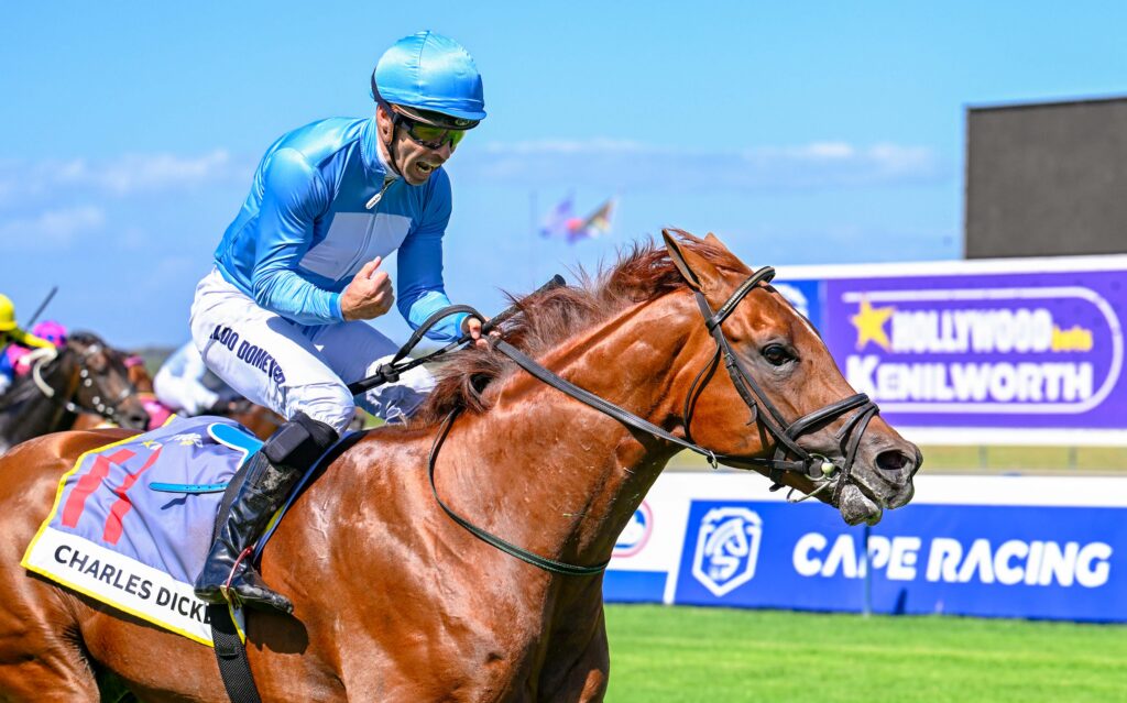 Hollywoodbets CAPE GUINEAS (Grade 1) FINAL FIELD
