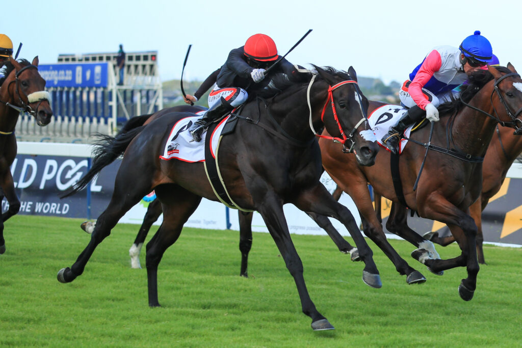 Hollywoodbets Durban July 1st Declarations